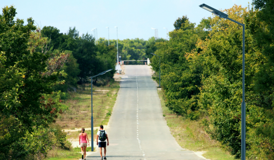Two people walking on a rural road lined with trees and powered by 2550 LM solar street lights.