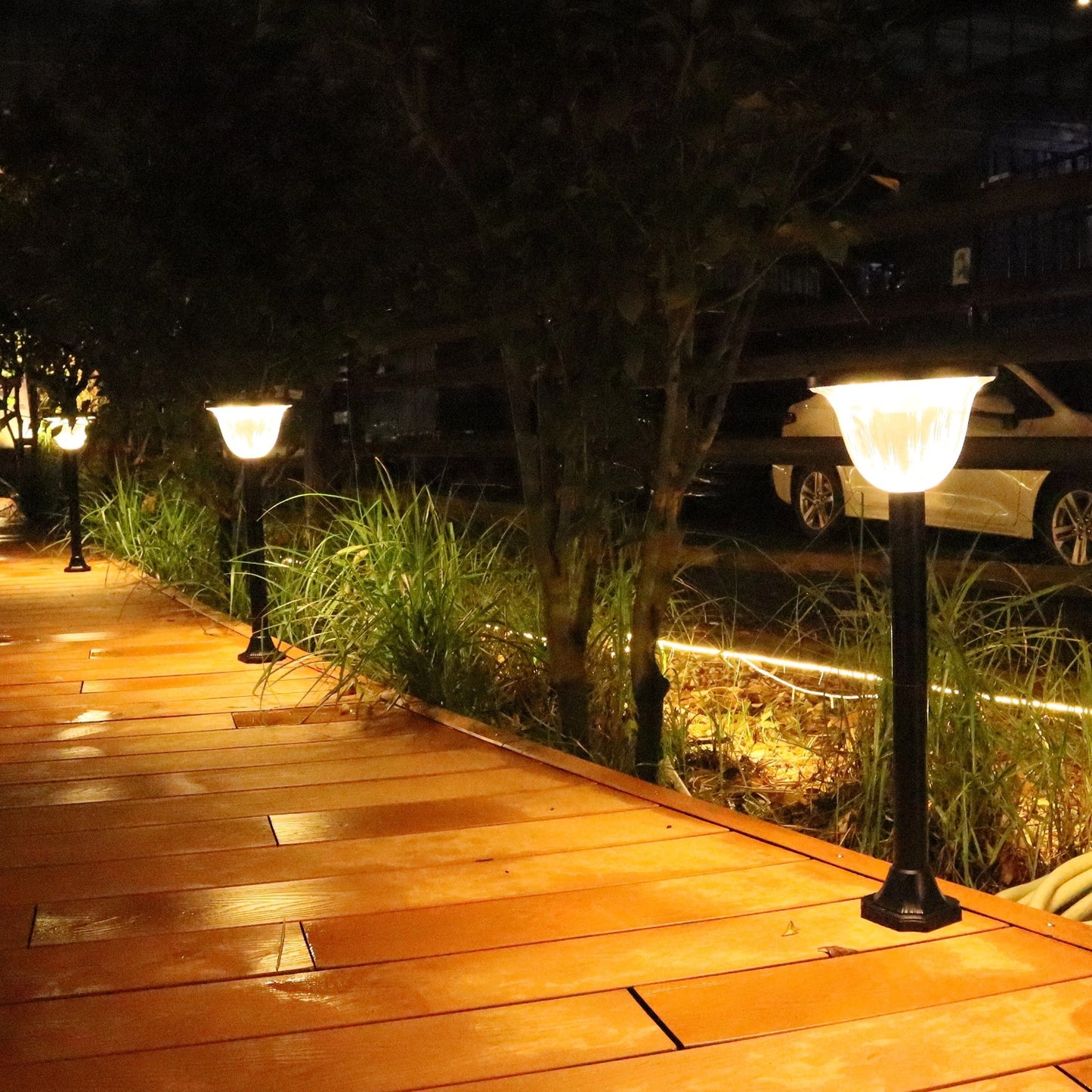 Solar Lawn Light For outdoor garden | Three color selectable